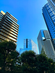 Fototapeta premium 都会の高層マンションと青空、昼、見上げ