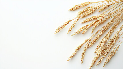 米　稲のイメージ画像　AI生成画像