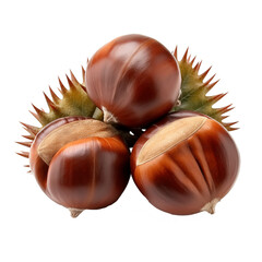 Set of fresh chestnuts isolated on white background. macro shot