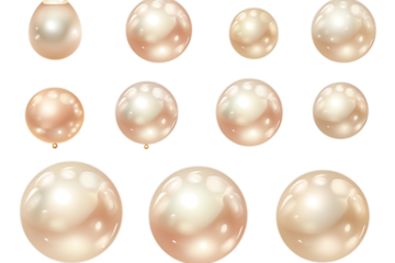 Set of pearl isolated on transparent background
