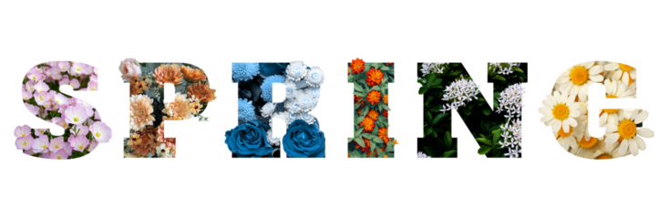 text from spring flowers isolated on white 