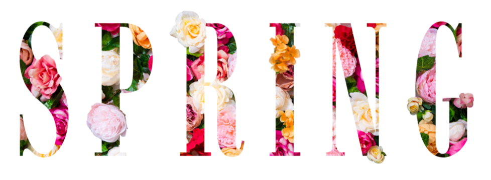 text from spring flowers isolated on white 