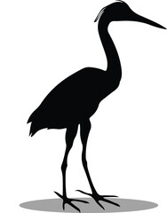 Herons Silhouette, Herons Vector Silhouette, Herons cartoon Silhouette, Herons illustration, Herons icon Silhouette, Herons Silhouette illustration



