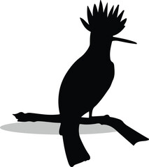 Hoopoes Silhouette,  Hoopoes Vector Silhouette, Hoopoes cartoon Silhouette , Hoopoes Free Silhouette, Hoopoes Silhouette Vector, Hoopoes, Hoopoes icon, Hoopoes vector,																									