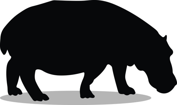 recommend clip art: Hippos Silhouette, Hippos Vector Silhouette, Hippos cartoon Silhouette, Hippos illustration, Hippos icon Silhouette, Hippos Silhouette illustration
                    
                    
                    
                    