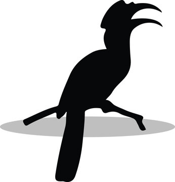 recommend clip art: Hornbills Silhouette,  Hornbills Vector Silhouette, Hornbills cartoon Silhouette , Hornbills Free Silhouette, Hornbills Silhouette Vector, Hornbills, Hornbills icon, Hornbills vector,																	