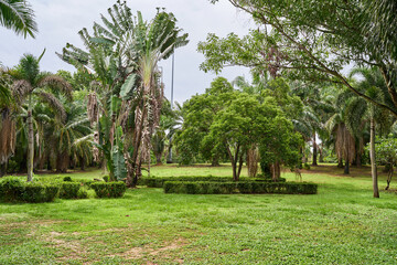 The King Rama IX city park in the island of  Phuket, Thailand