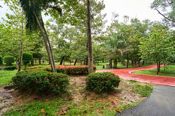 The King Rama IX city park in the island of  Phuket, Thailand
