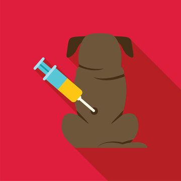Veterinarian giving vaccine injection to dog during appointment in veterinary clinic
