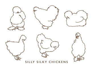 Silly Silkie Chickens - Outlines!
