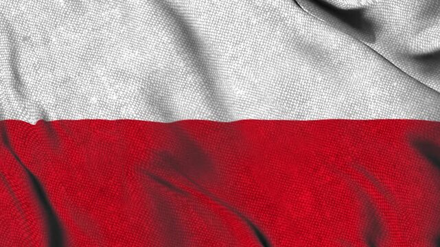 animation of the polonia  flag waving in the wind	