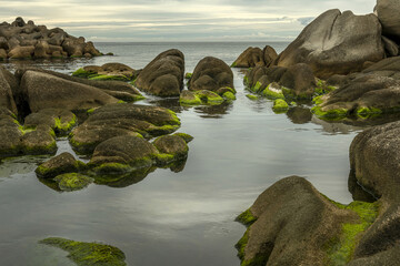 High angle and morning view of green laver on seaside rock against sea horizon at Sodol Beach of Jumunjin near Gangneung-si, South Korea
