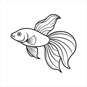 recommend clip art: Betta fish line art illustration vector
