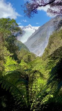 Franz Josef Glacier, west coast , South Island, New Zealand