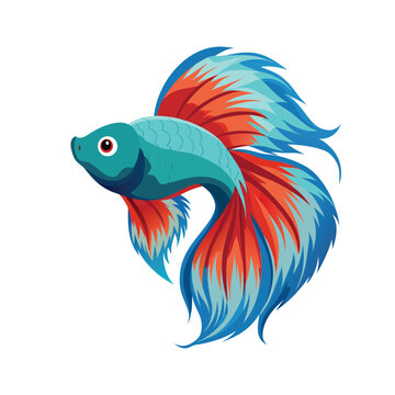 recommend clip art: Betta fish art illustration vector