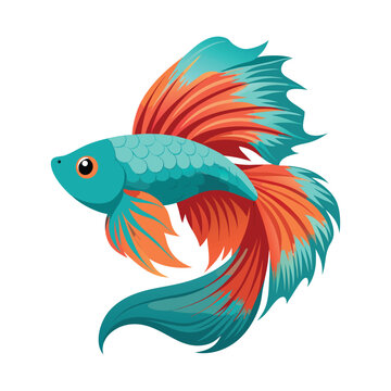 recommend clip art: Betta fish art illustration vector