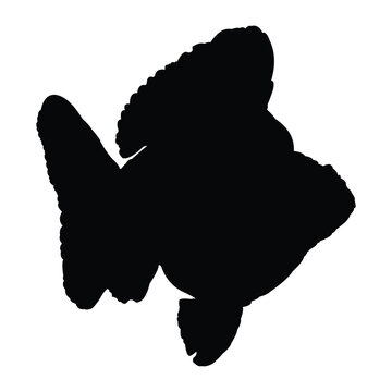 recommend clip art: black goldfish silhouette vector design on white background
