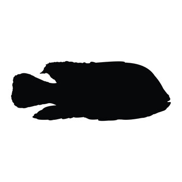 recommend clip art: black freshwater ornamental fish silhouette vector design on a white background