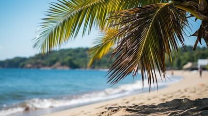 coconut tree with tropical beach with cloudy times. Creative banner 