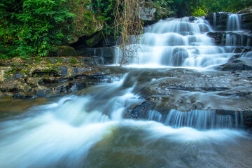 Obraz premium waterfall in the forest