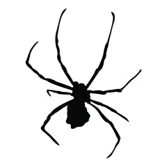 insect silhouette vector design in black on a white background