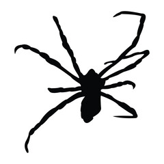 insect silhouette vector design in black on a white background
