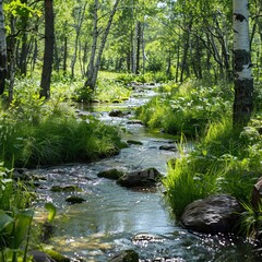 Forest streams acting as natural filters for water purification, forest biosphere protection, natural filtration