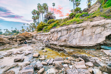 Laguna Beach ocean shoreline with palm trees at Treasure Island Park, Orange County, California USA