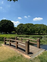 Lake in Japan