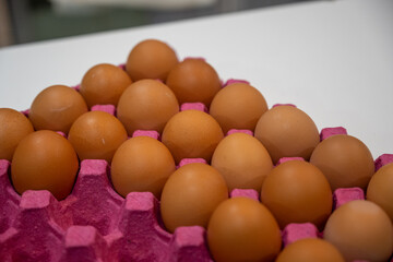 huevos de granja rojos