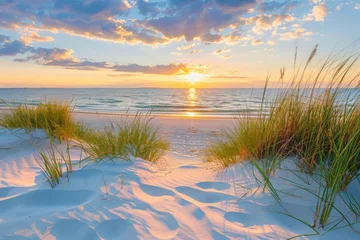 Papier peint photo Le salon Sunset Over a Sandy Beach with Lush Grass  © artfinity