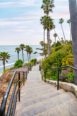Obraz premium Laguna Beach ocean shoreline with palm trees at Treasure Island Park, Orange County, California USA