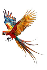 Obraz premium Vibrant scarlet macaw in mid-flight with outstretched wings on transparent background