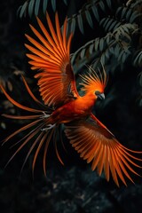 Majestic red bird opening its wings and flying in tropical forest