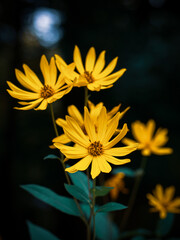 The warmth of a friend's company outshines the coldness of solitude