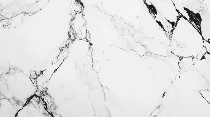Obraz premium Close-up of White Marble with Black Veins