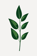 Obraz premium flat leaf plant illustration vector