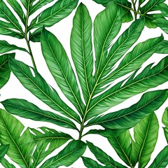 green leaves background