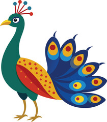 peacock illustration vector