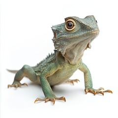 Obraz premium A Close-Up of a Green Tree Lizard with Striking Yellow Eyes