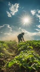 A farmer works diligently in a lush field, surrounded by rows of growing plants under a radiant sun