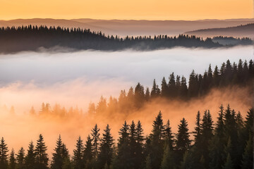 Fototapeta premium spruce forest on mountain hillside in fog at sunrise. autumnal landscape