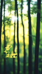 A tranquil forest scene capturing soft green hues and sunlight filtering through tall trees, creating a peaceful ambiance.