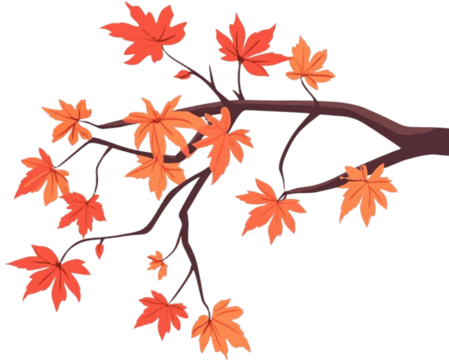 Transparent background autumn scene with vibrant fall, ripe harvests, branch, red, maple tree, leaf, leaves, and traditional celebrations like Chuseok.
