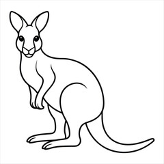 Naklejka premium A Kangaroo vector art illustration