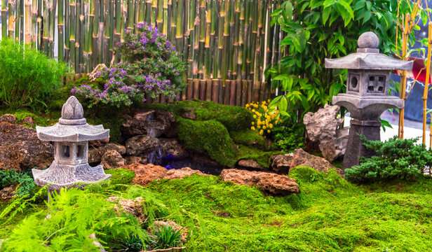 Minimal Japanese garden in home with small stone lantern and bamboo fountain and moss and flowers.

