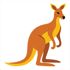 Fototapeta premium A Kangaroo vector art illustration
