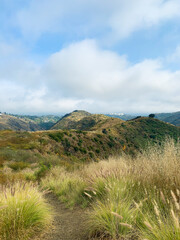 path to the mountain