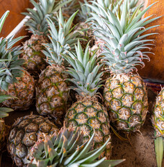 Fresh pineapples for sale at the market in Queensland, Australia