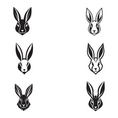 set of rabbit